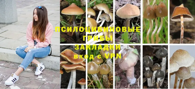 Галлюциногенные грибы мухоморы  Шарыпово 